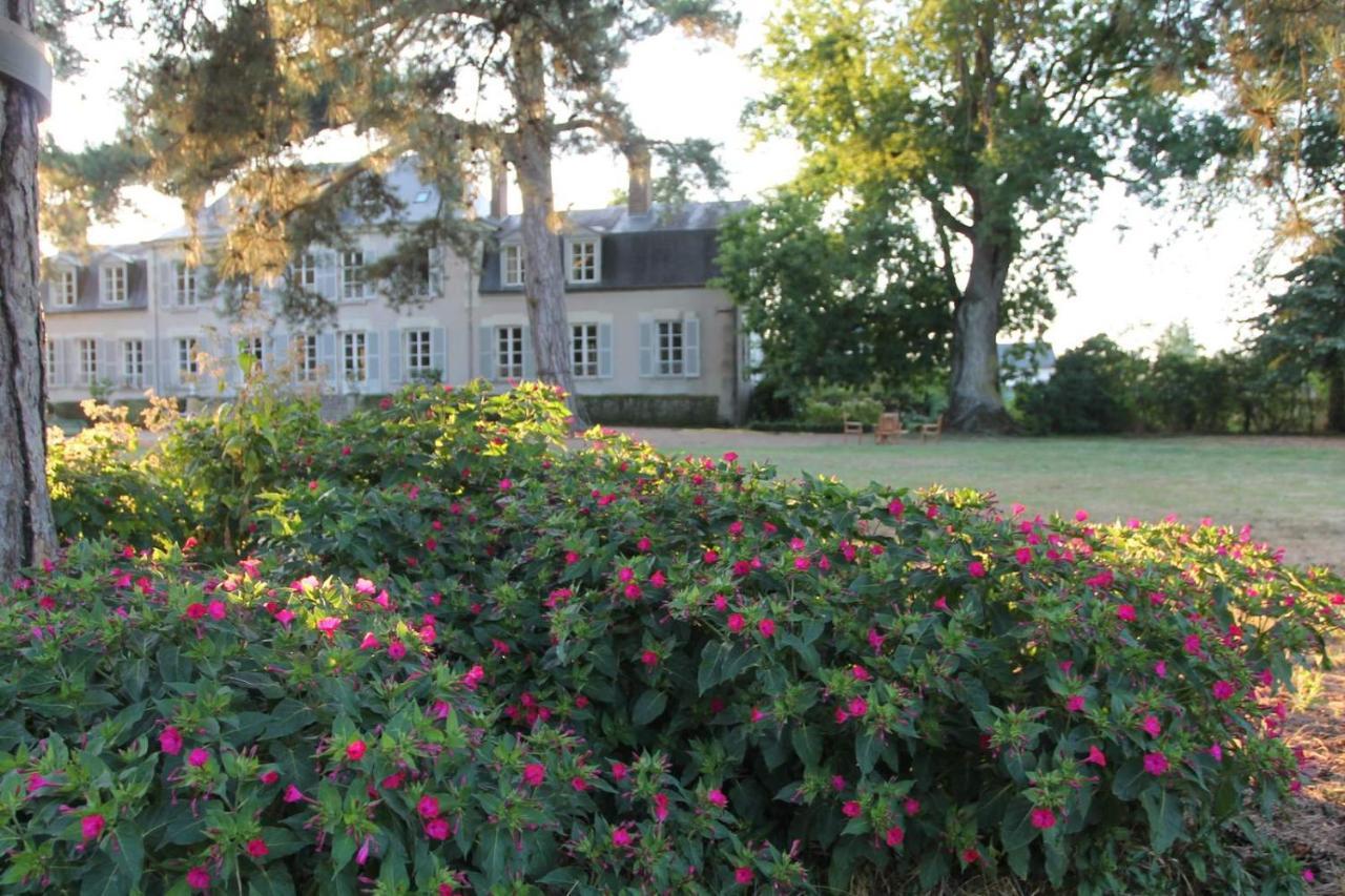 Candé-sur-Beuvron Colivault B&B 외부 사진